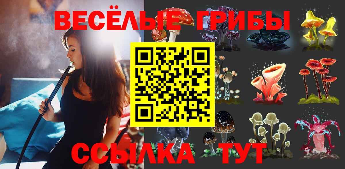 Псилоцибиновые грибы Psilocybe  Вход с VPN  Ивантеевка 