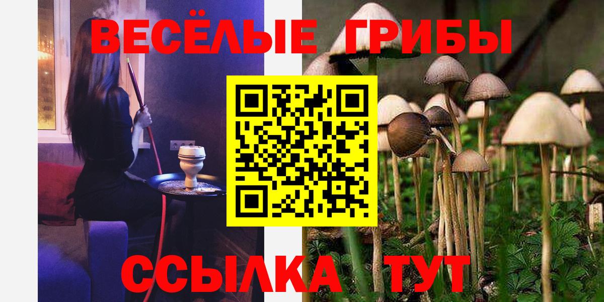Псилоцибиновые грибы Psilocybine cubensis Ивантеевка